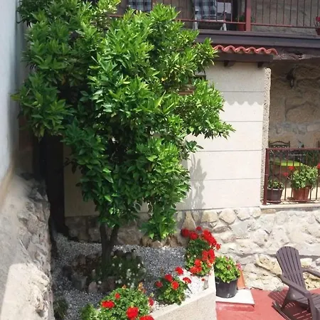 Casa Js